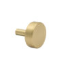 Golden cabinet knob on a white background.